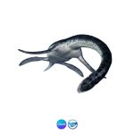 Plesiosaurus