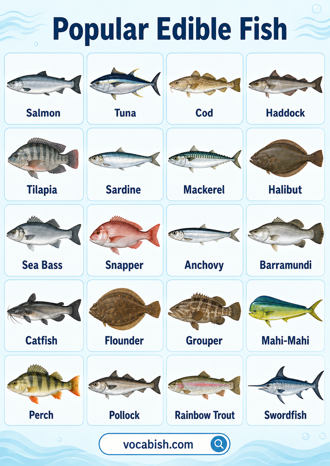 Popular edible fish with names and pictures