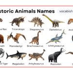 Prehistoric Animals