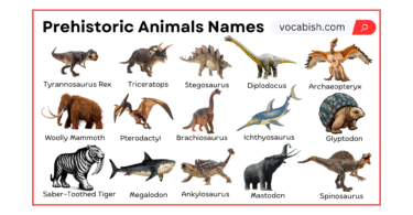 Prehistoric Animals Names in English with Pictures