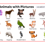 Rare Animals Names in English with Pictures