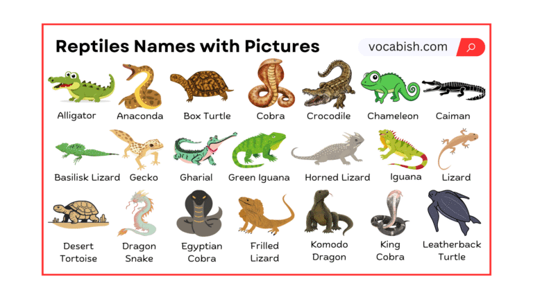 Reptiles Names in English with Their Pictures