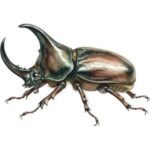 Rhinoceros Beetle: Brown rhinoceros beetle with a large curved horn and sturdy legs.