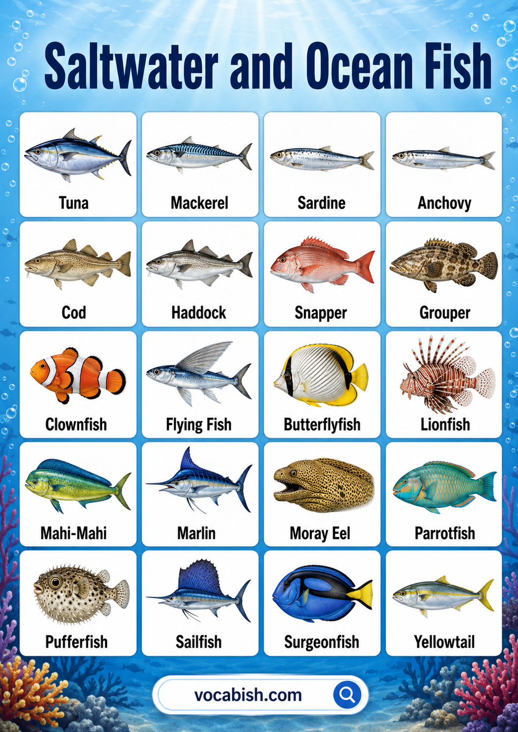 Saltwater and ocean fish names in English