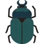 Scarab Beetle: Dark blue scarab beetle with a rounded body and segmented wing covers.