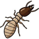 Termite: Light brown termite with a large head, antennae, and six legs.