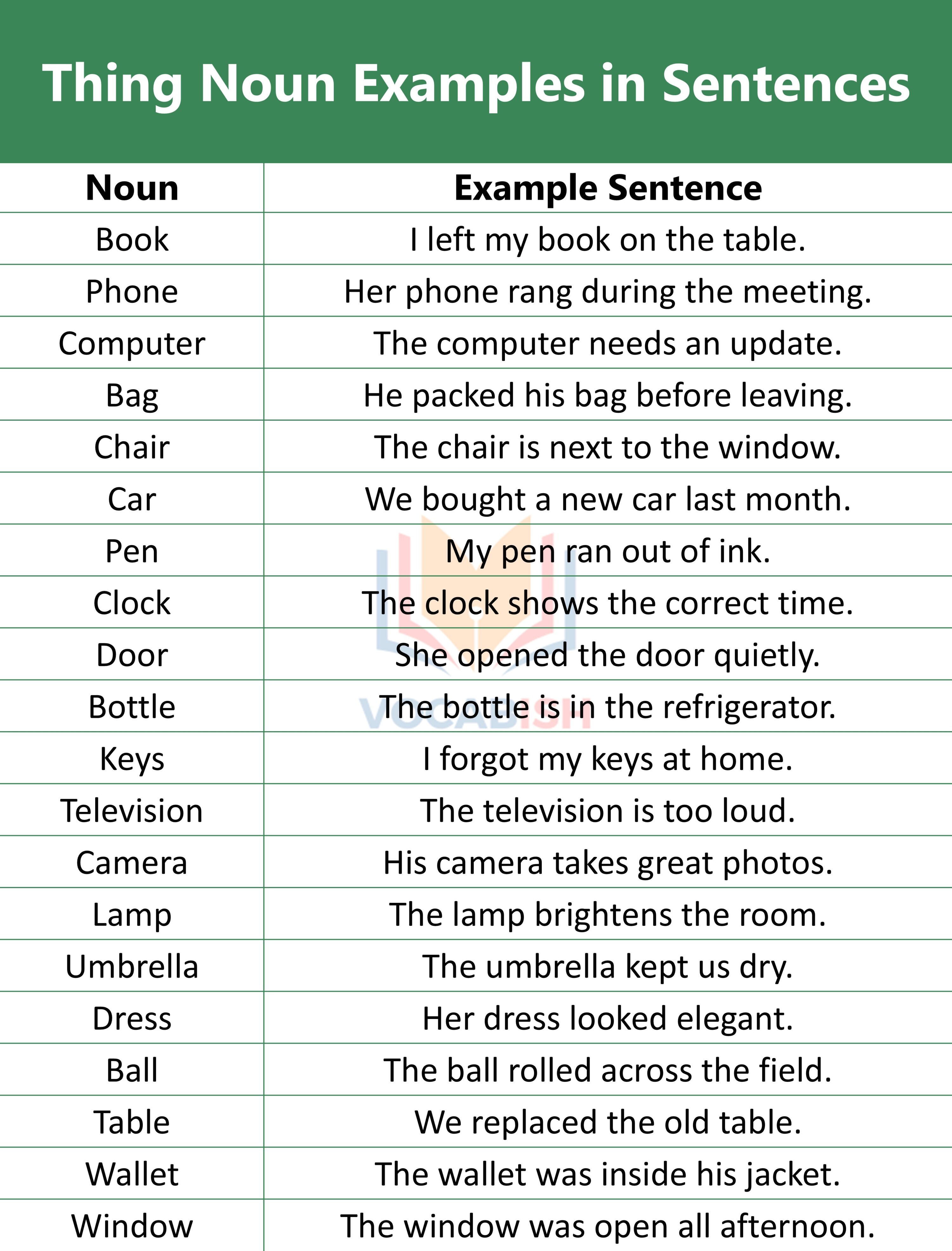 Thing Noun Examples in Sentences