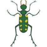 Tiger Beetle: Green tiger beetle with yellow spots and long slender legs.