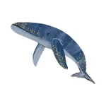 Whales as a Viviparous Animals