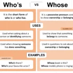 Who’s vs Whose Explained with Uses and Examples