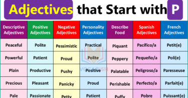 500 Adjectives that Start with P