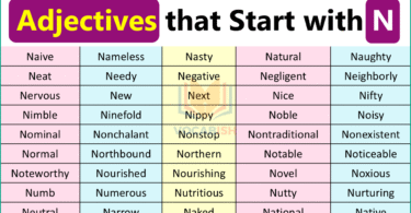 Adjectives with N