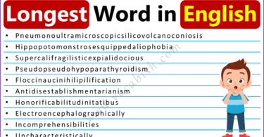 Longest Word in English with Their Meanings