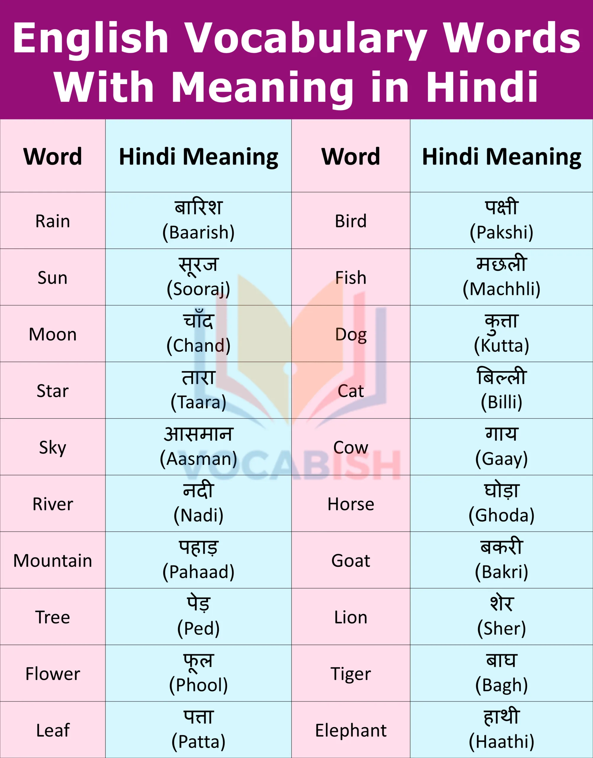 English Vocabulary With Hindi Meaning