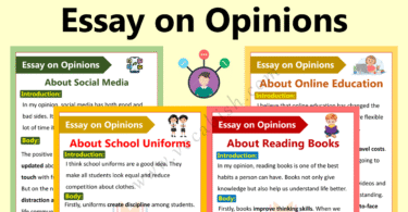 Essay on Opinions with Sample and Examples