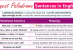 Examples of Longest Palindrome Sentences in English