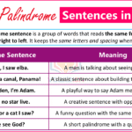 Examples of Longest Palindrome Sentences in English