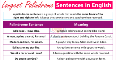 Examples of Longest Palindrome Sentences in English