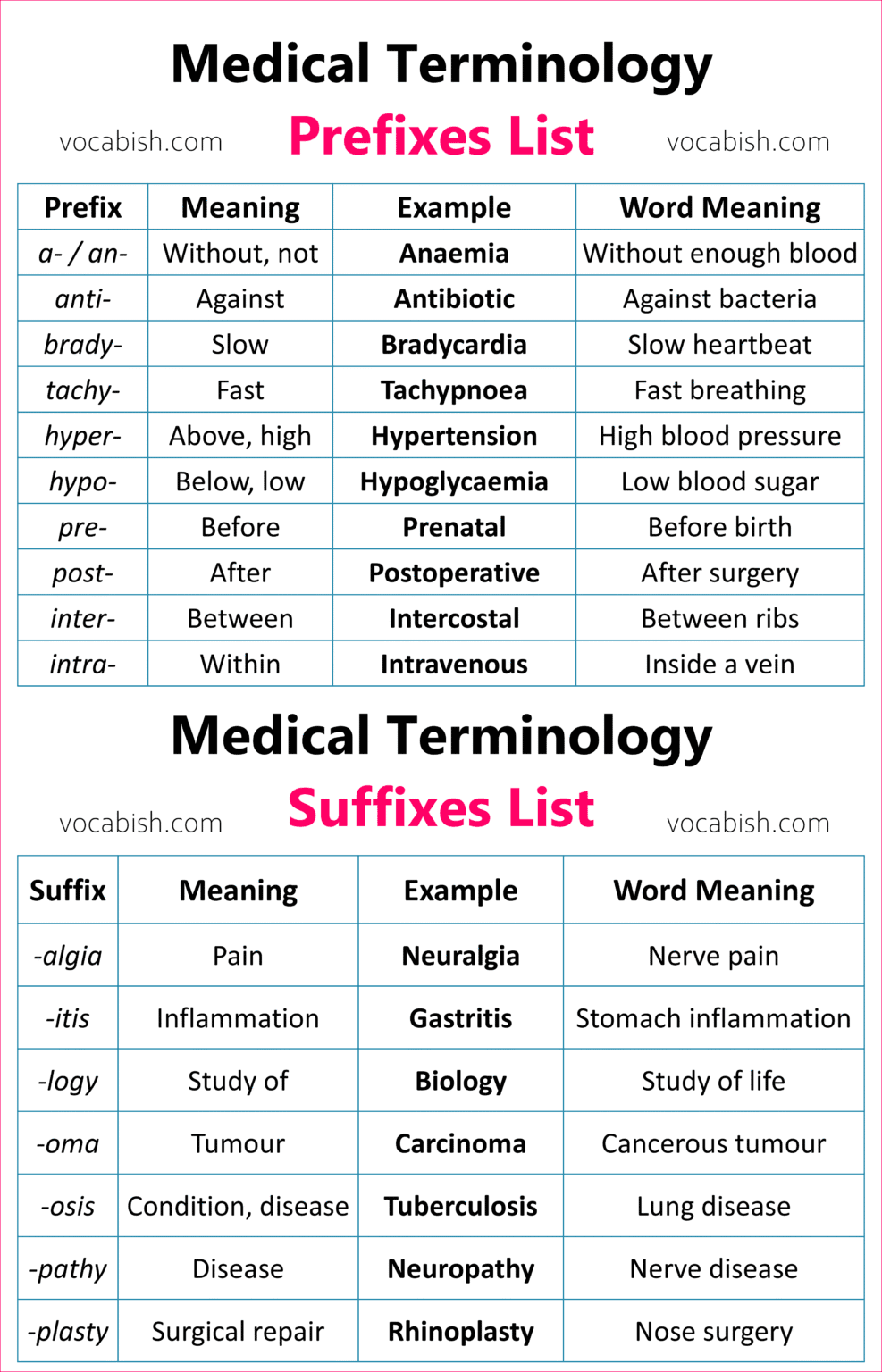 Medical Terminology Prefixes and Suffixes | Vocabish