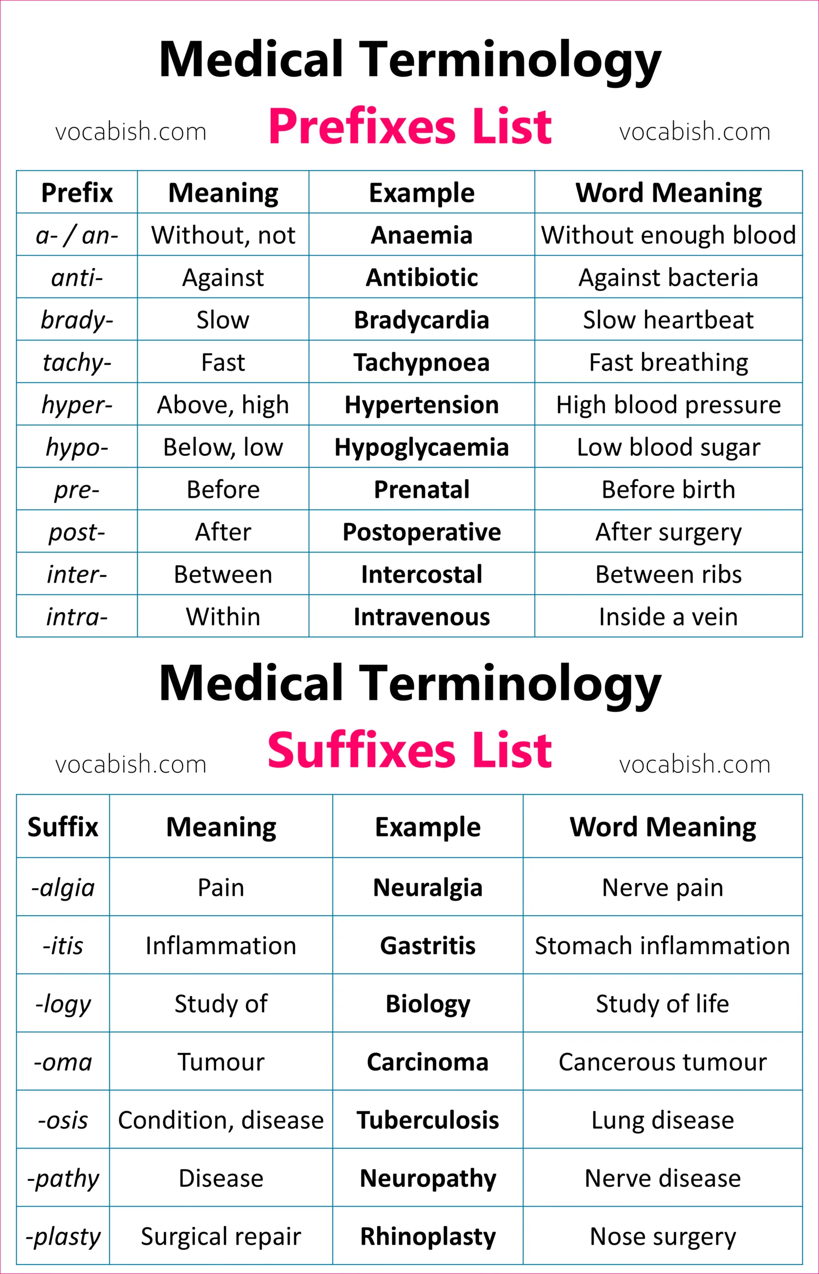 Medical Terminology Prefixes and Suffixes