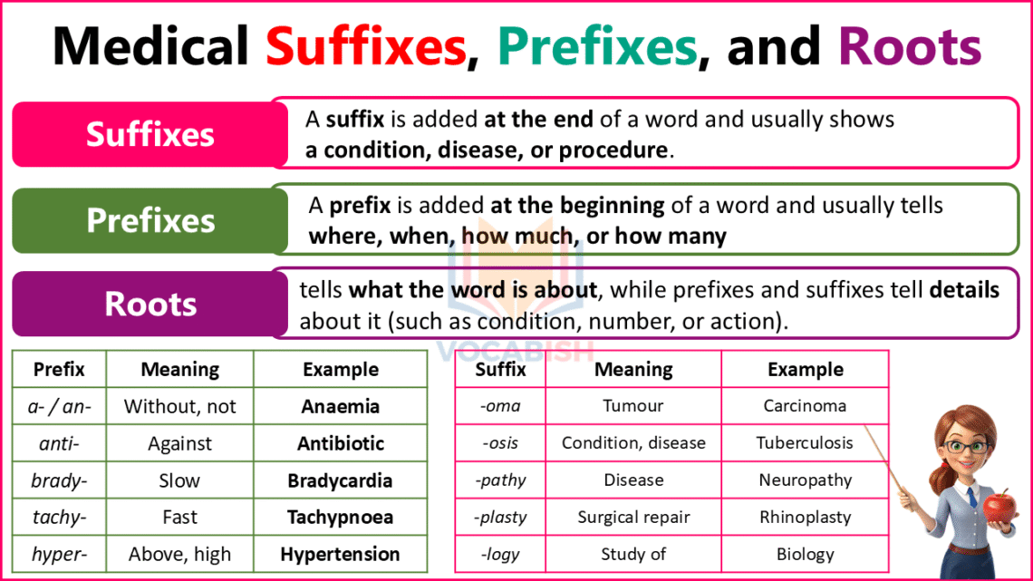 Medical Terminology Prefixes and Suffixes