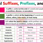Medical Terminology Prefixes and Suffixes