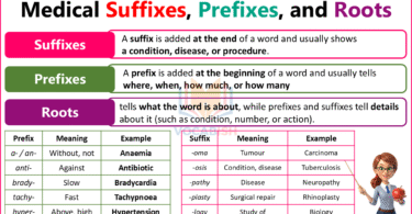Medical Terminology Prefixes and Suffixes