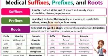 Medical Terminology Prefixes and Suffixes