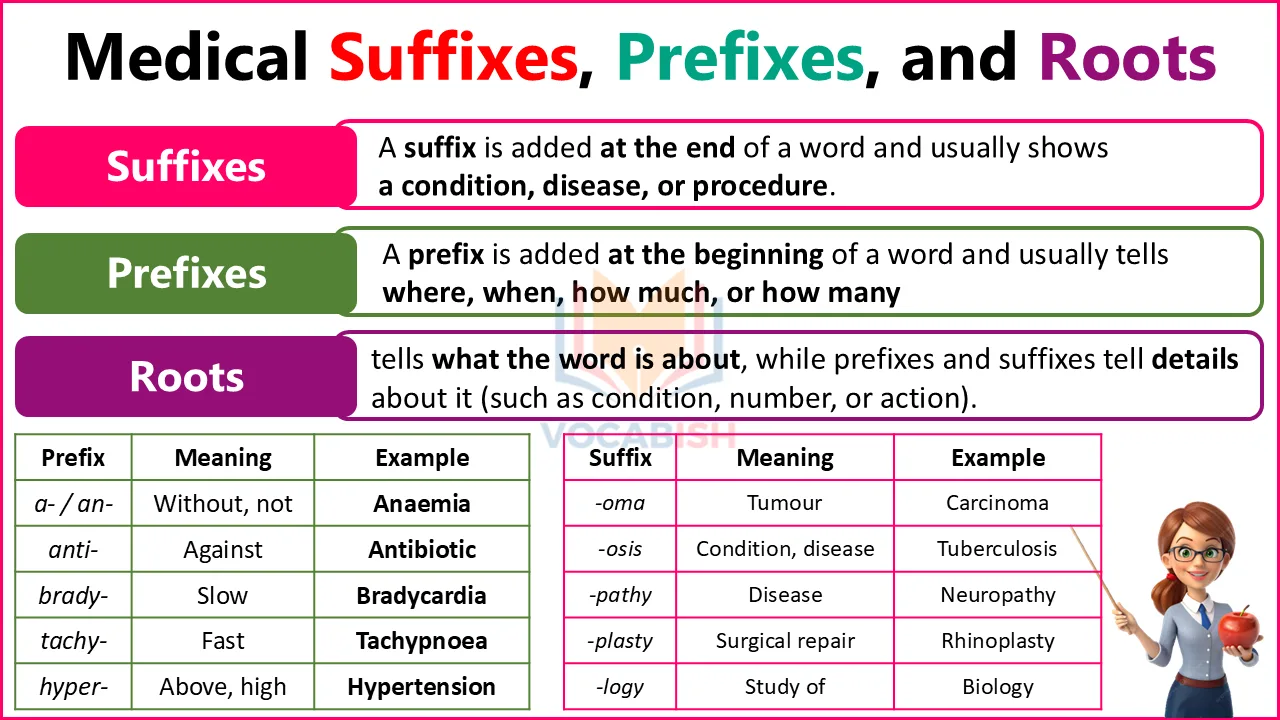 Medical Terminology Prefixes and Suffixes