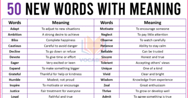 New Words with Meaning in English