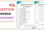 Question Words Worksheet with Answers
