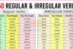 Regular and Irregular Verbs with 250 Examples