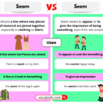 Seam vs Seem | When to Use Seam and Seem