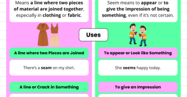 Seam vs Seem | When to Use Seam and Seem
