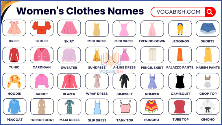 100+ Womens Clothes Names with Pictures