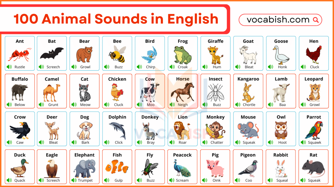 100 Animal Sounds in English