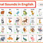 100 Animal Sounds in English