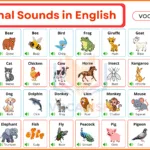 100 Animal Sounds in English