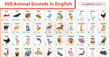 100 Animal Sounds in English