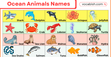 A to Z Ocean Animals Names List