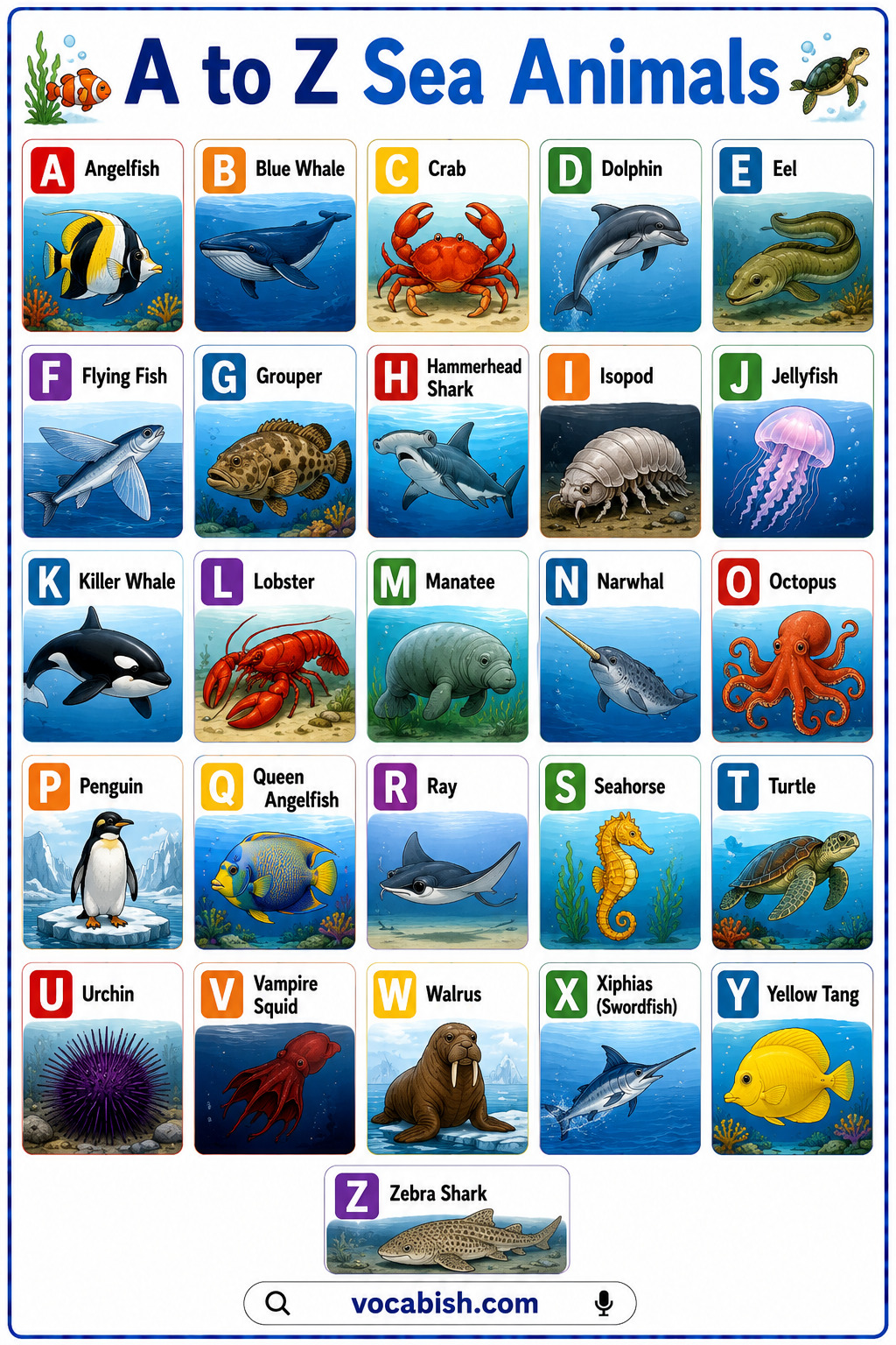 A to Z Sea Animals Name in English with Pictures
