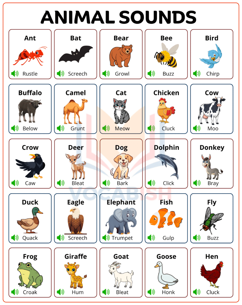 100+ Animal Sounds in English with Their Pictures | Vocabish