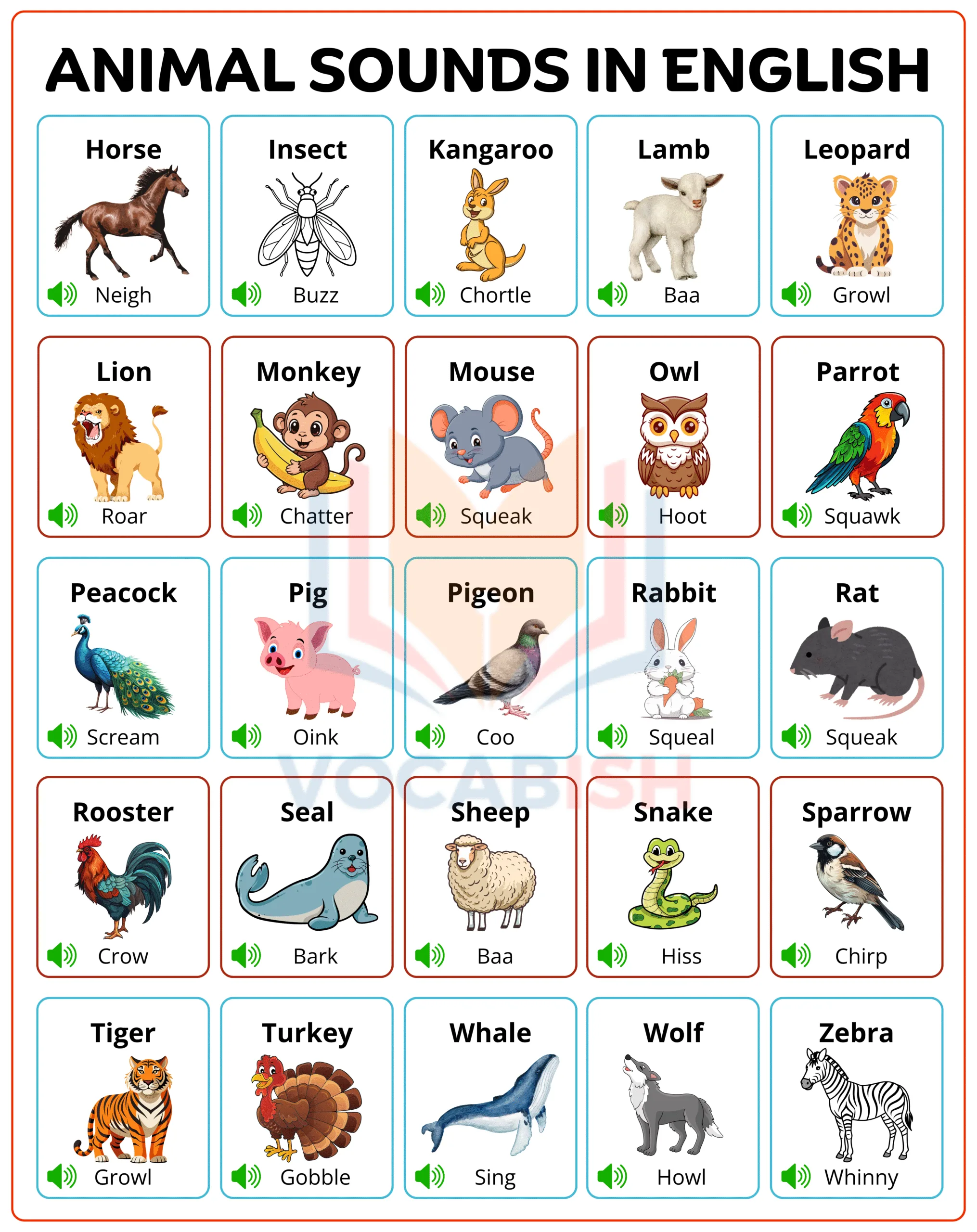 Animal Sounds in English