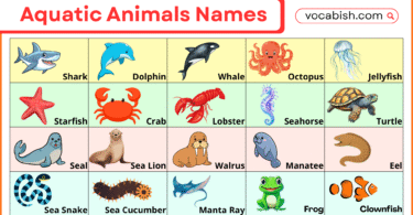 100+ Aquatic Animals Names in English with Pictures