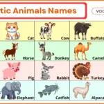 Domestic Animals Names with Pictures
