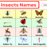 Flying Insects Names with Photos