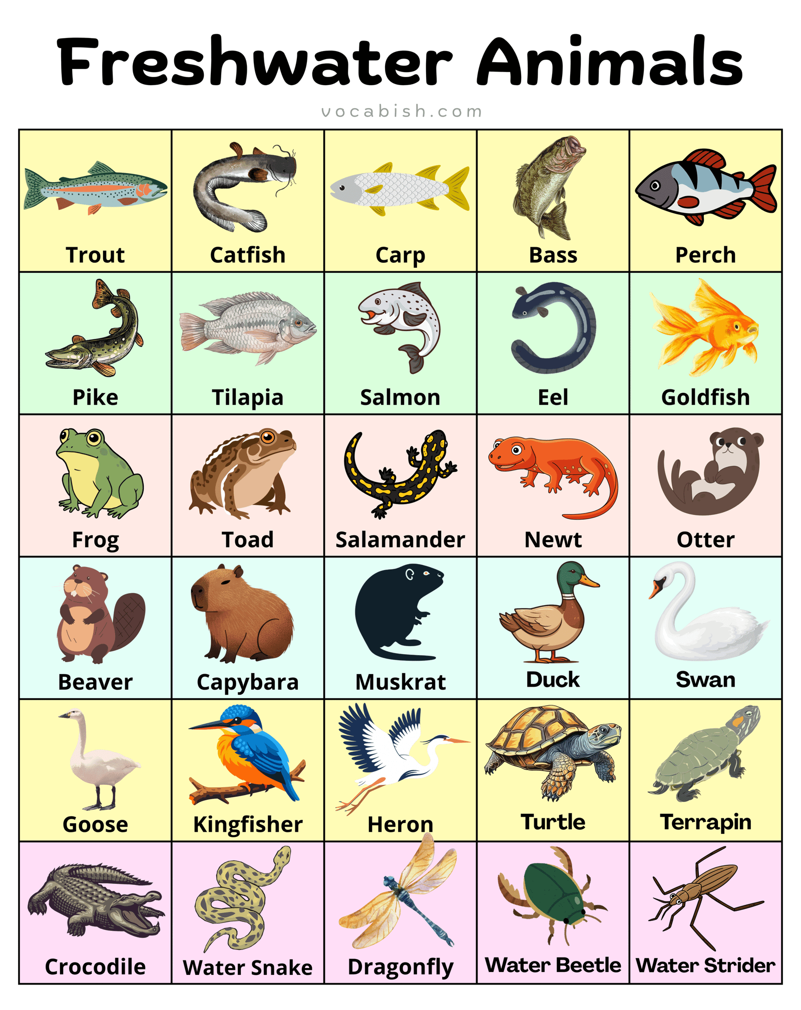 250+ Freshwater Animal Names in English with Pictures