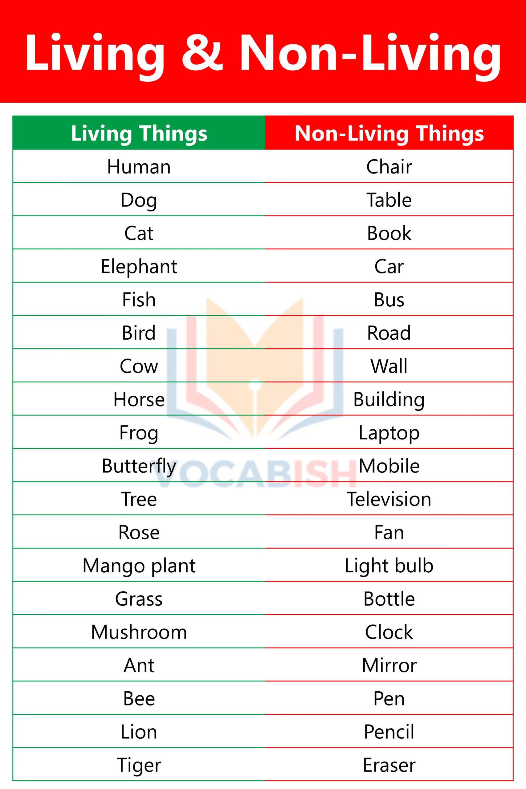 Living and Non Living Things Chart