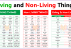Living and Non Living Things in English