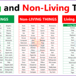 Living and Non Living Things in English
